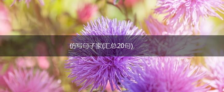 仿写句子家(汇总20句),第1张