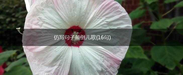 仿写句子颠倒儿歌(16句),第1张