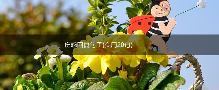 伤感回复句子(实用20句),第1张