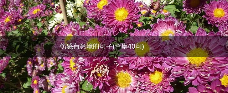 伤感有意境的句子(合集40句),第1张