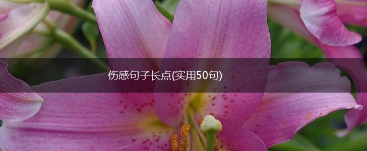 伤感句子长点(实用50句),第1张