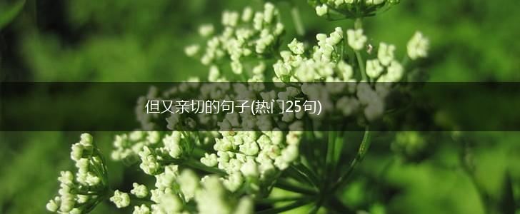 但又亲切的句子(热门25句),第1张